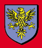 flag2